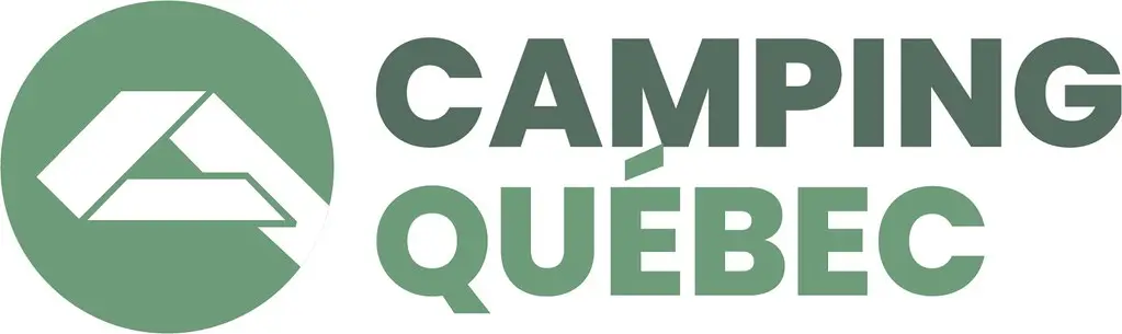 a green text on a white background