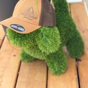 Casquette Canevas